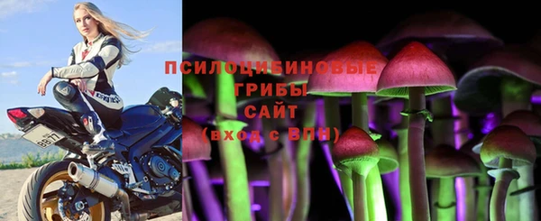 герыч Дмитровск