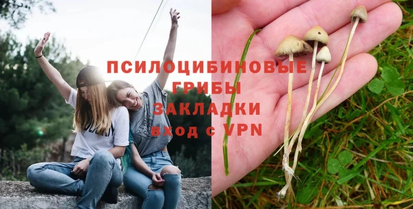 мяу мяу кристалл Дмитров