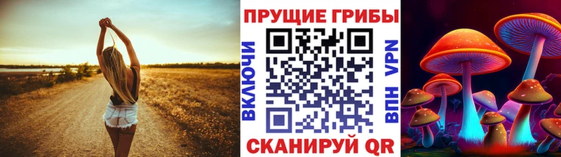 Купить закладки  Кинешма  Галлюциногенные грибы GOLDEN TEACHER 